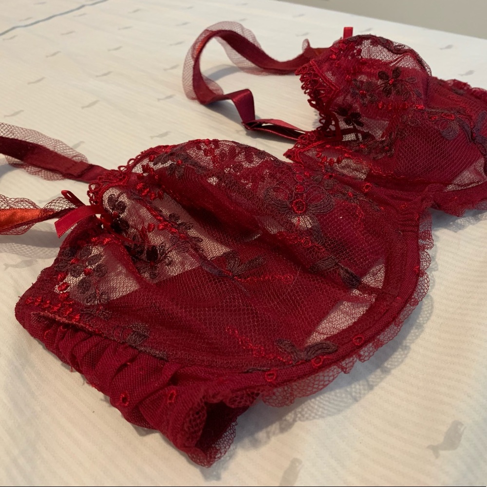 NWOT 34F Chantelle Embroidered Bra